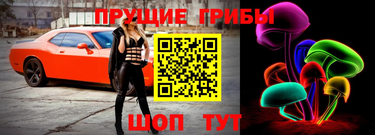 хочу   Вход с VPN  Элиста  Галлюциногенные грибы GOLDEN TEACHER 